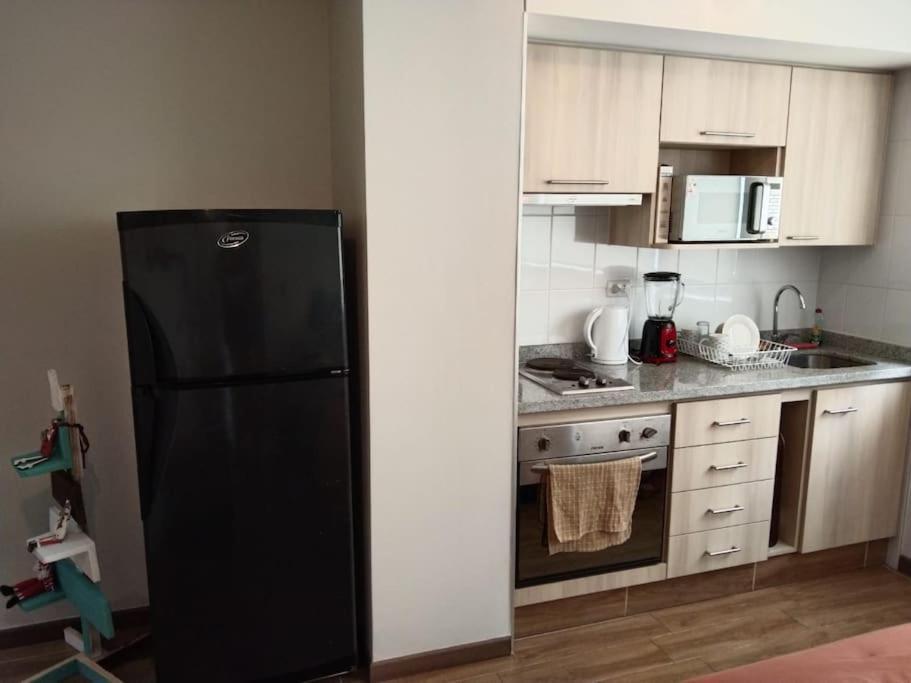 Departamento Nuevo Tipo Estudio En Pleno Centro -8 Apartman Concepción Kültér fotó