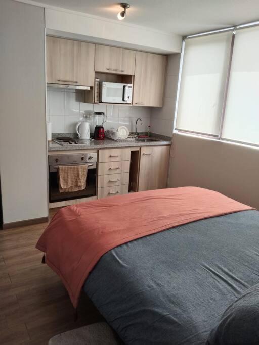 Departamento Nuevo Tipo Estudio En Pleno Centro -8 Apartman Concepción Kültér fotó