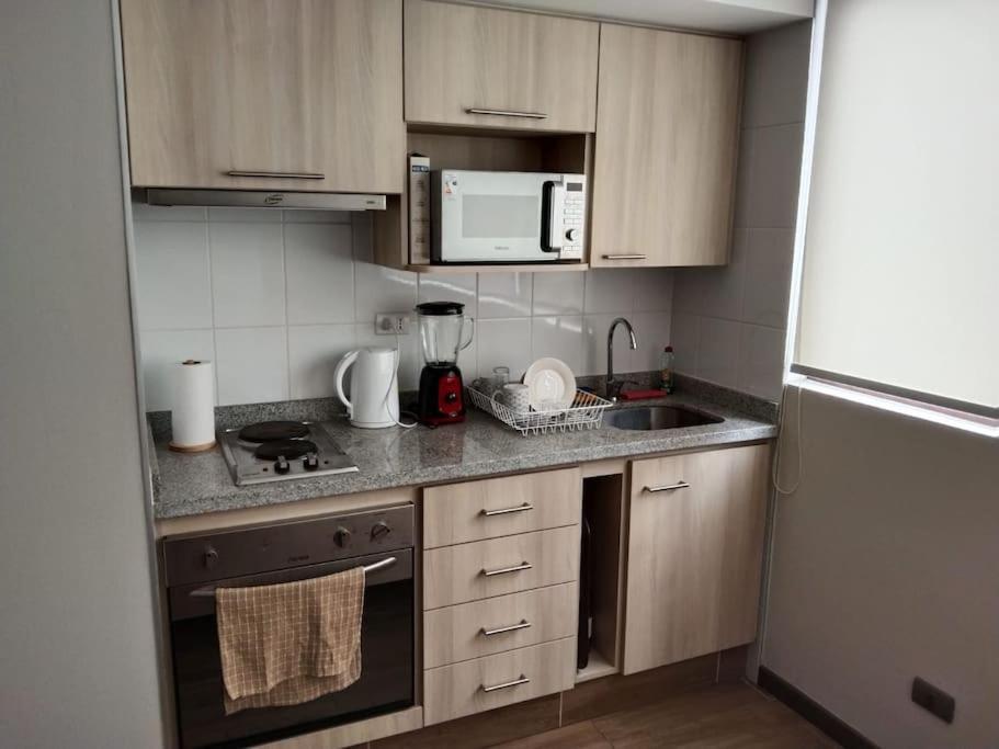 Departamento Nuevo Tipo Estudio En Pleno Centro -8 Apartman Concepción Kültér fotó