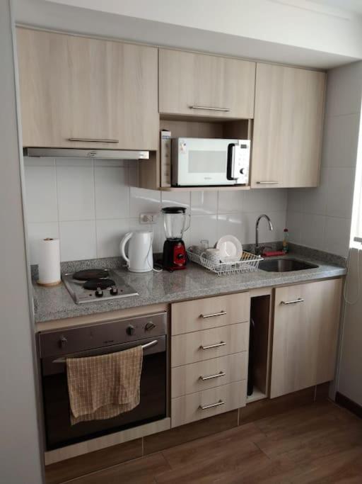 Departamento Nuevo Tipo Estudio En Pleno Centro -8 Apartman Concepción Kültér fotó