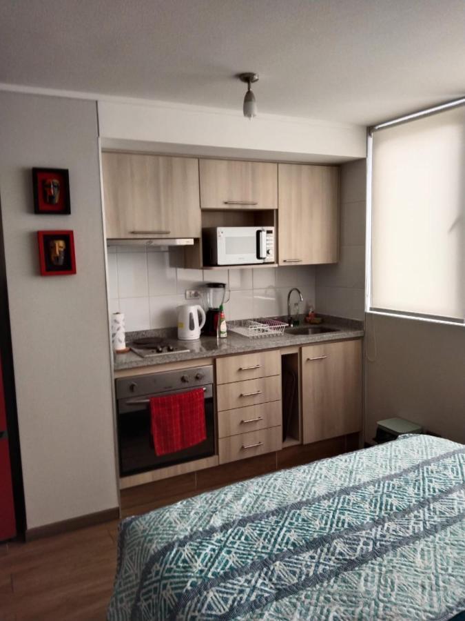 Departamento Nuevo Tipo Estudio En Pleno Centro -8 Apartman Concepción Kültér fotó