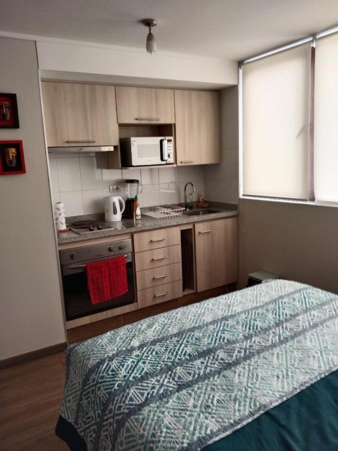 Departamento Nuevo Tipo Estudio En Pleno Centro -8 Apartman Concepción Kültér fotó
